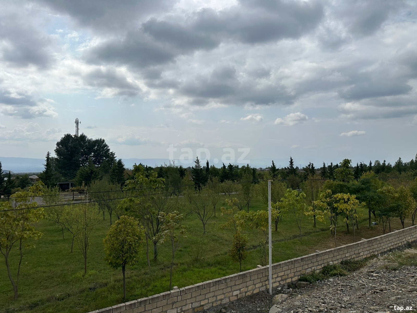 Obyekt icarəyə verilir, Şəki r.