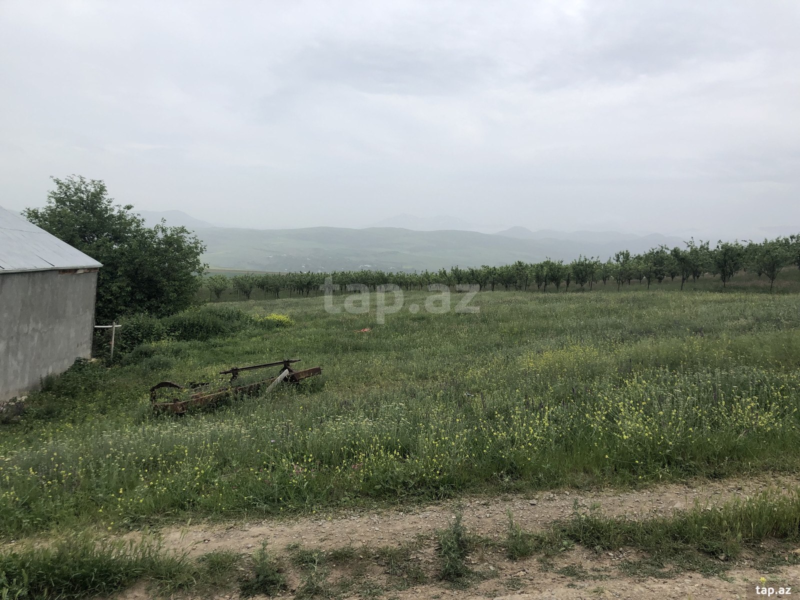 30 sot torpaq sahəsi, Göygöl r.