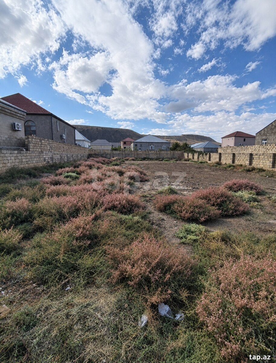 Torpaq satılır, Bakı