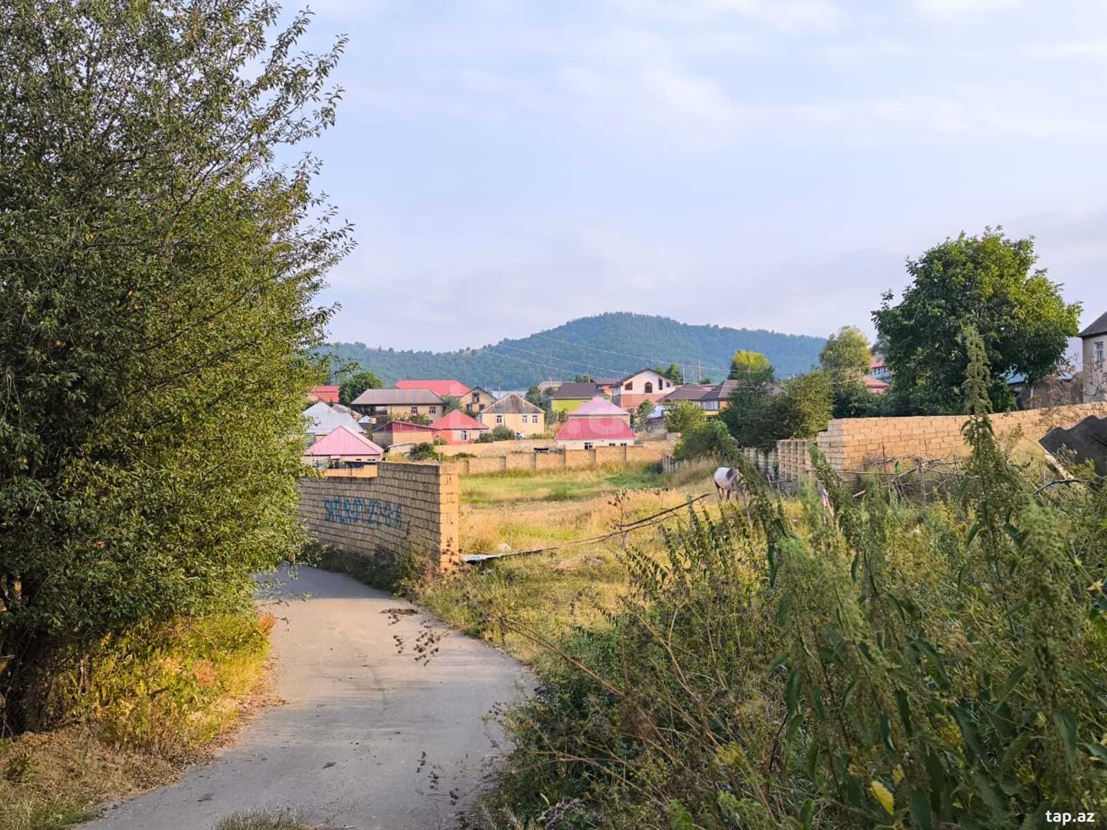 40 sot torpaq sahəsi, Gədəbəy ş.