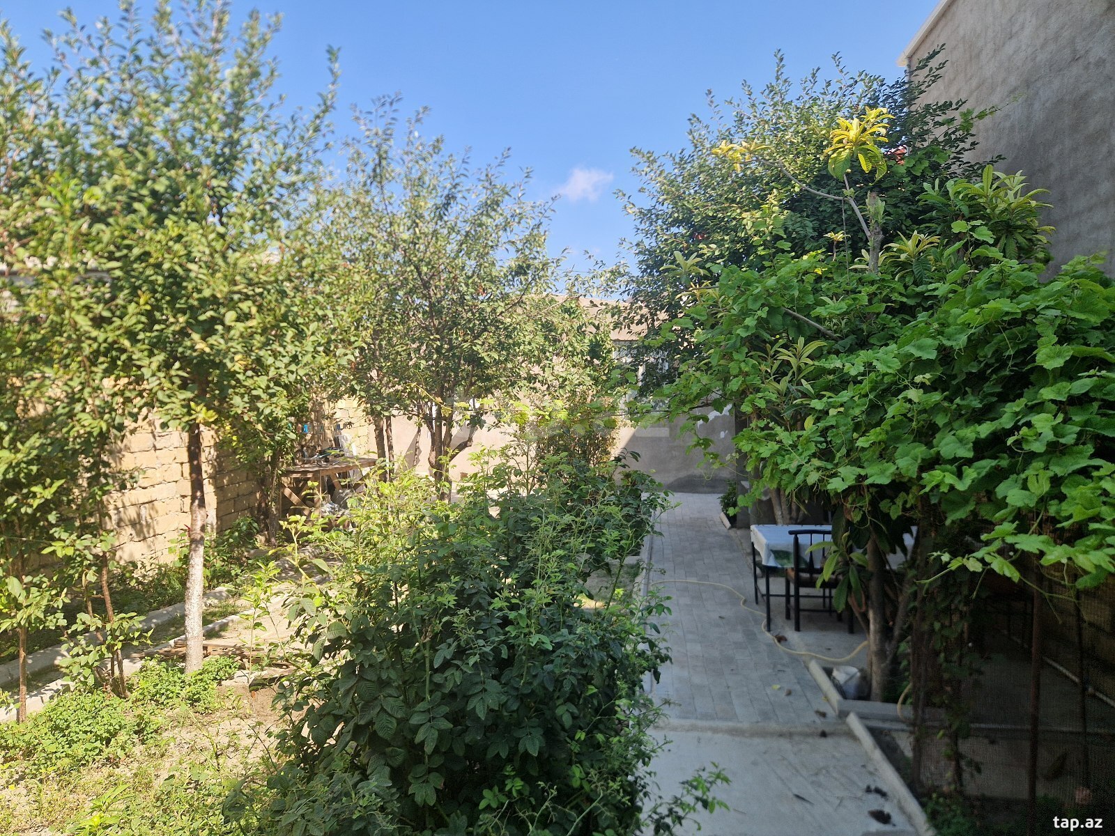 Həyət evi, Masazır qəs.