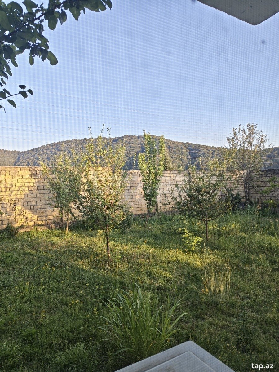 Həyət evi kirayə verilir, Qəbələ r.