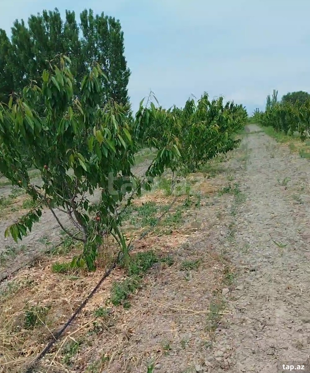 400 sot torpaq sahəsi, Ağdaş r.
