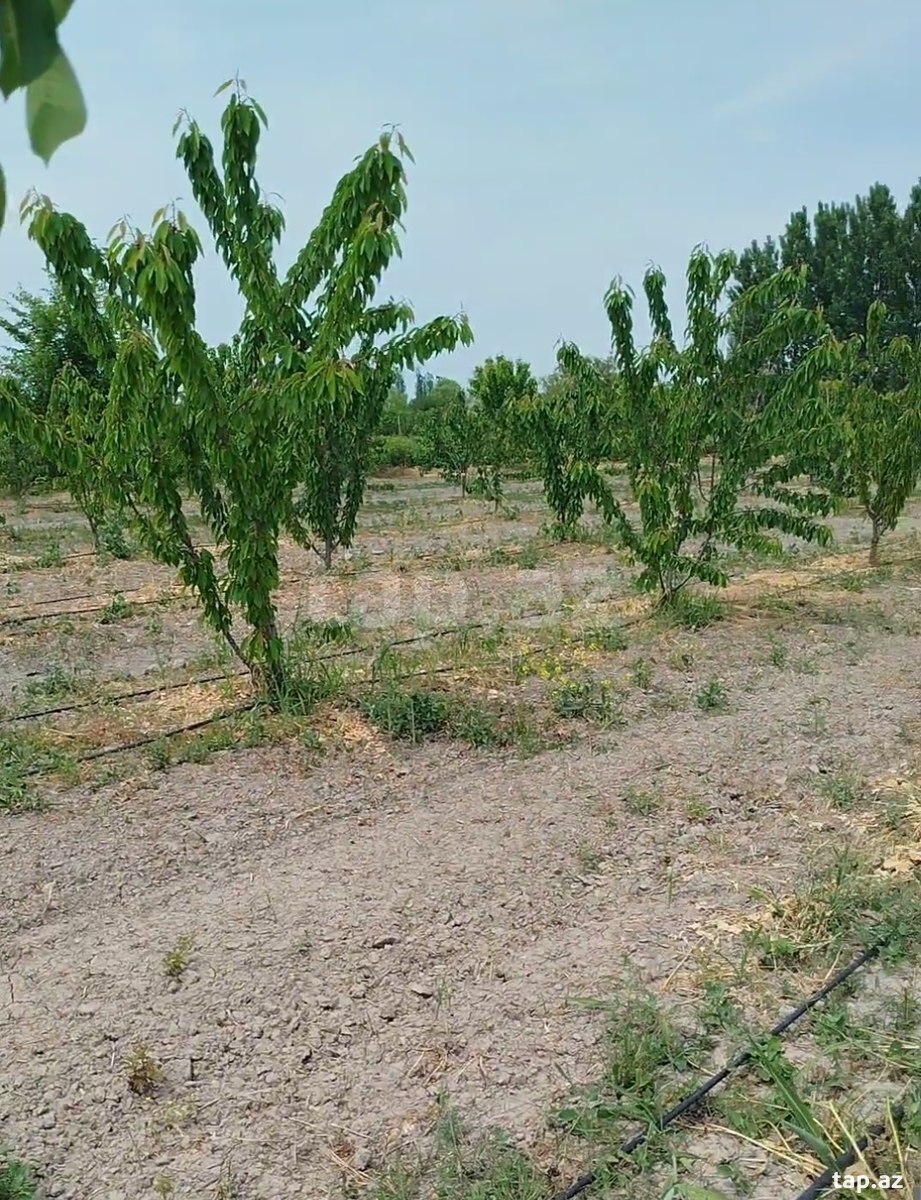 400 sot torpaq sahəsi, Ağdaş r.
