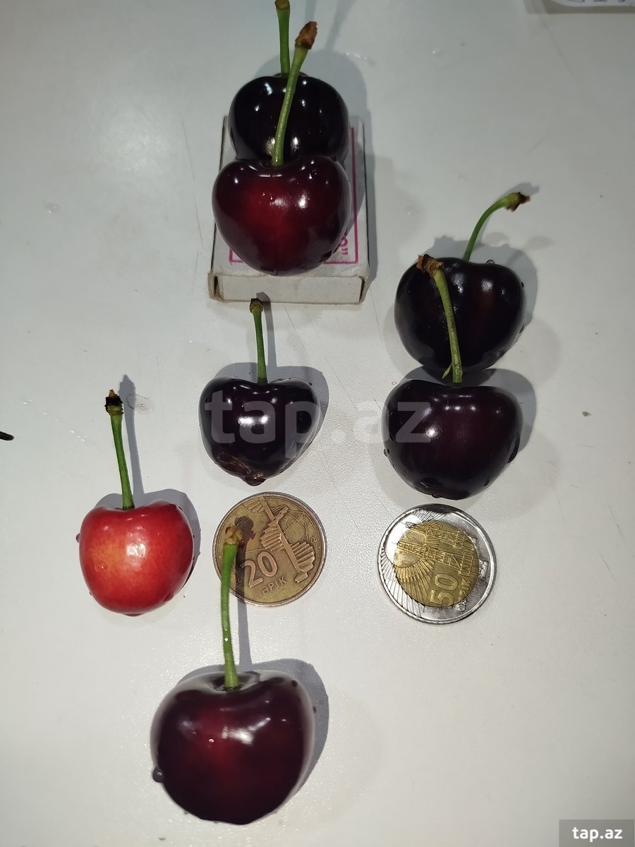 400 sot torpaq sahəsi, Ağdaş r.