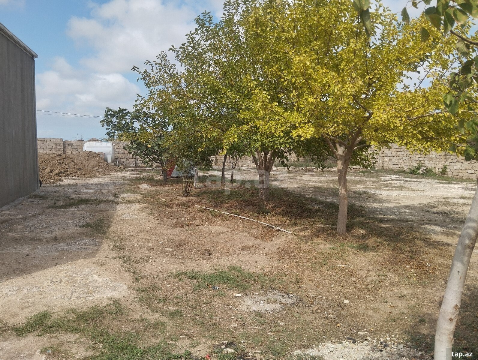 Torpaq satılır, Bakı