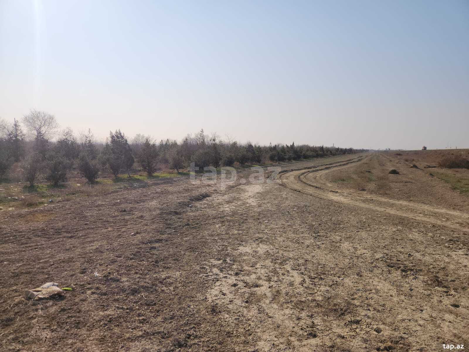 230 sot torpaq sahəsi, Hacıqabul r.