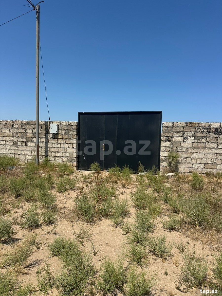 Torpaq satılır, Türkan, Bakı