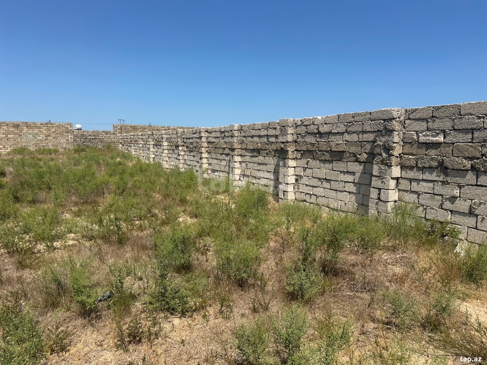 Torpaq satılır, Türkan, Bakı
