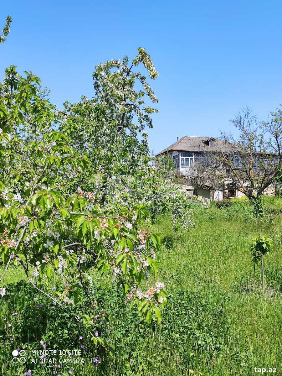 Həyət evi, Xaçmaz r.