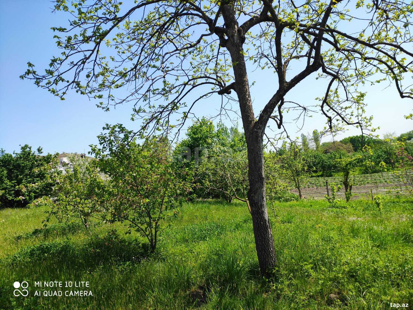 Həyət evi, Xaçmaz r.