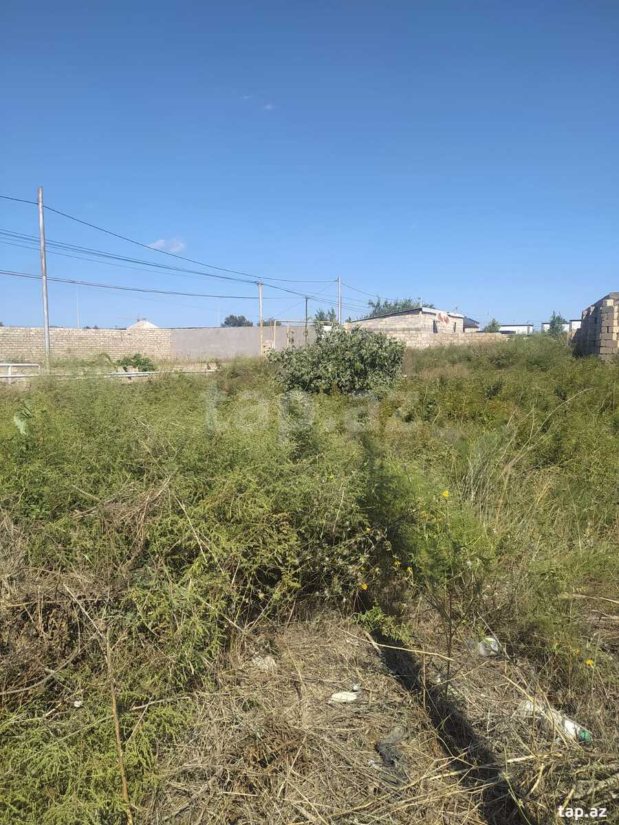 7 sot torpaq sahəsi, Sea Breeze