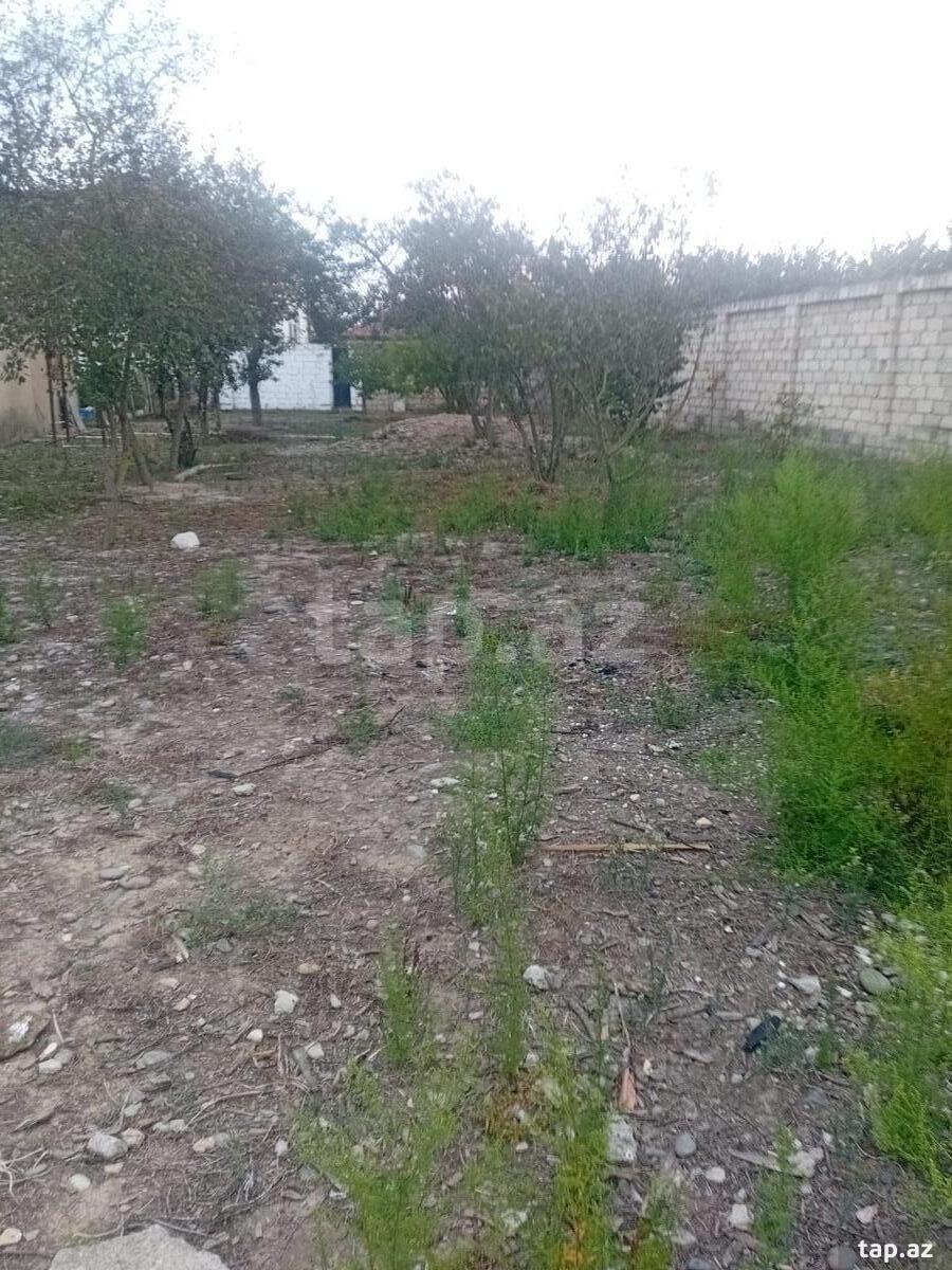 4.5 sot torpaq sahəsi, Nabran r.