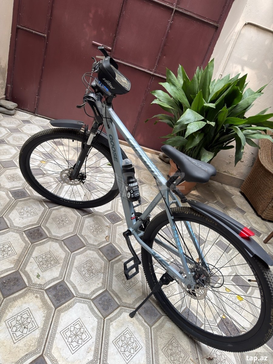 Velosiped Goose