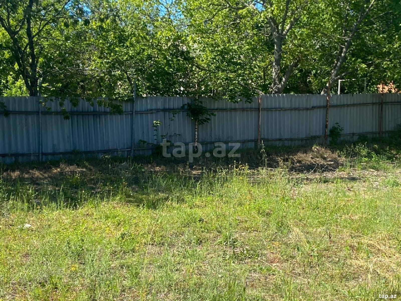 Land for sale, Ismayilli, Ismayilli