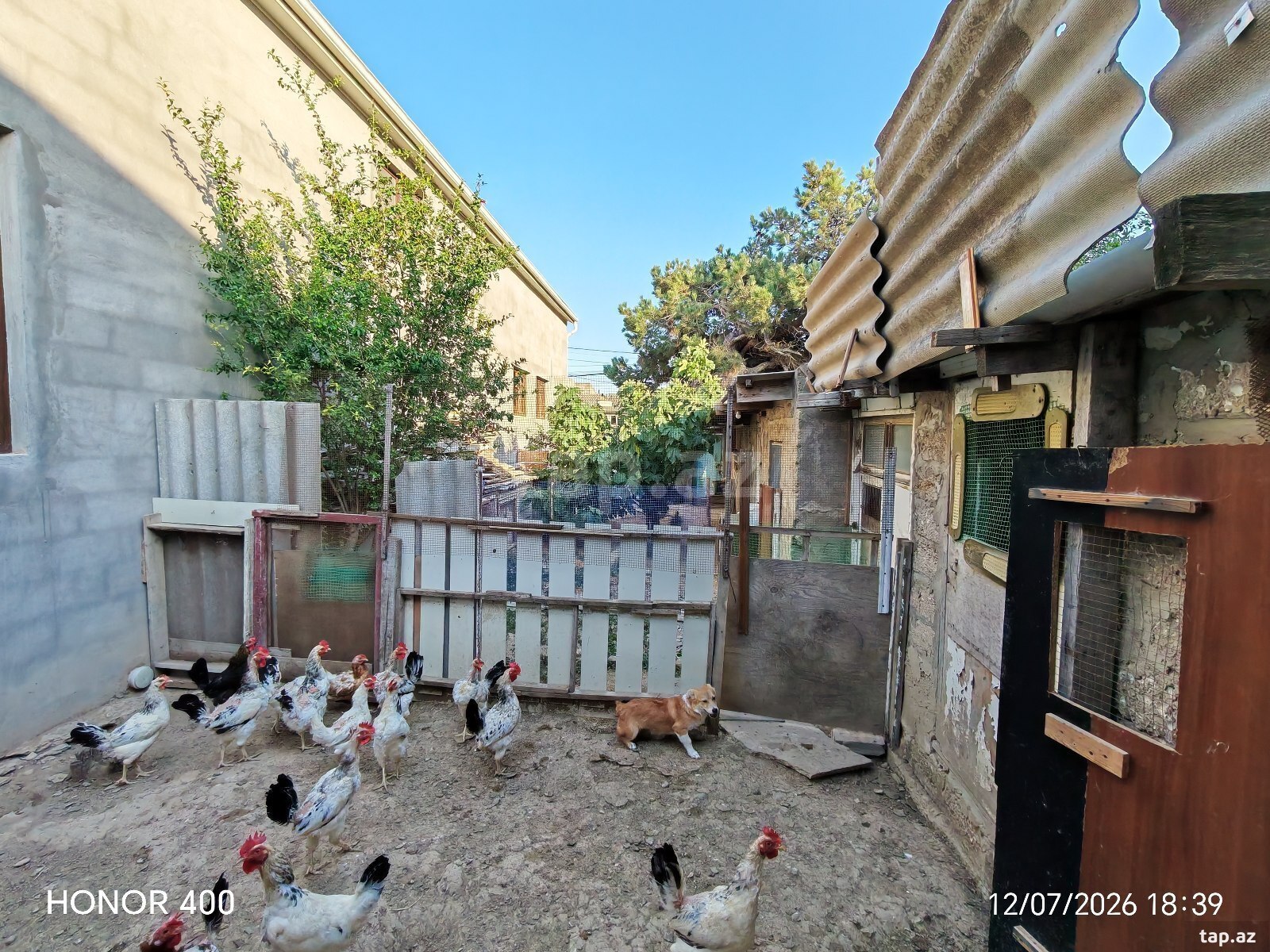 2 otaqlı həyət evi satılır, Yeni Suraxanı, Bakı