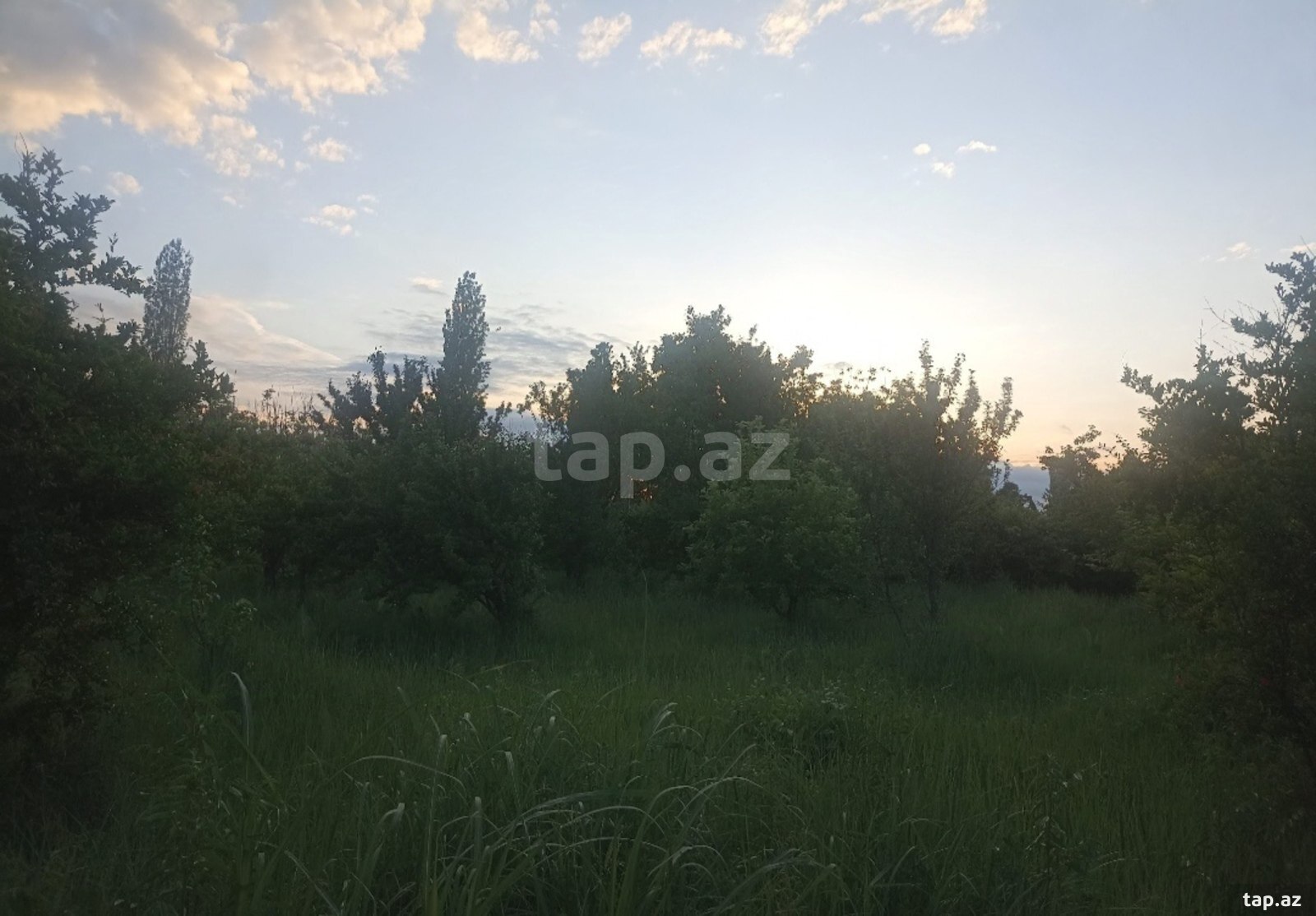 34 sot torpaq sahəsi, Göyçay r.
