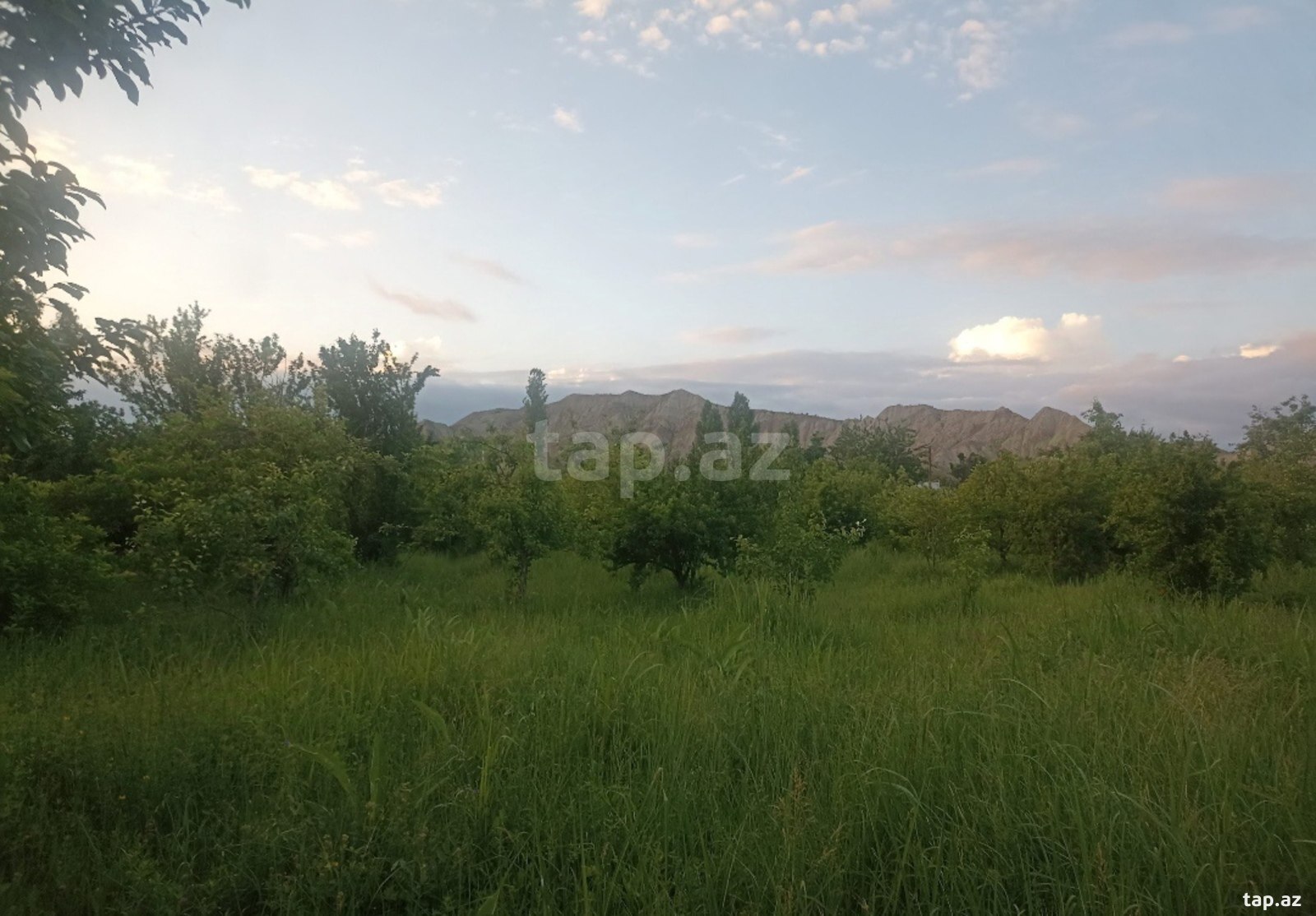34 sot torpaq sahəsi, Göyçay r.