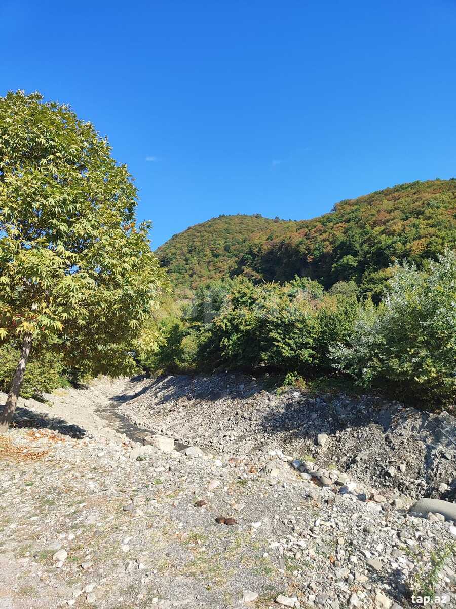 Land for sale, Ismayilli, Ismayilli
