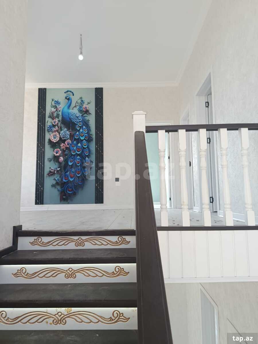 Həyət evi, Saray qəs.