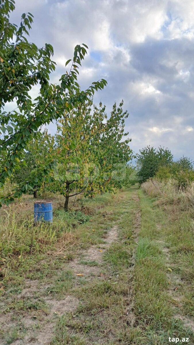 150 sot torpaq sahəsi, Quba r.