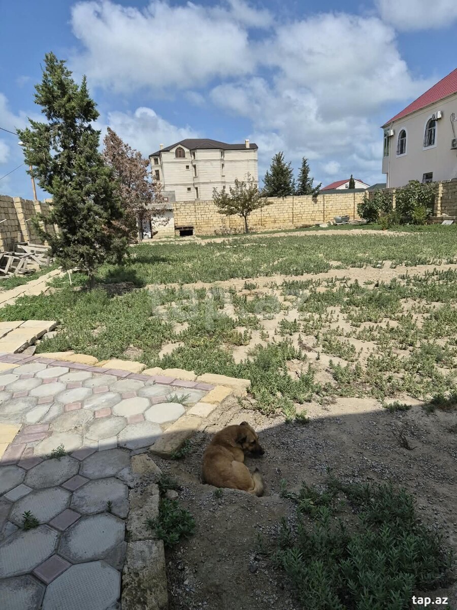 Torpaq satılır, Corat, Sumqayıt