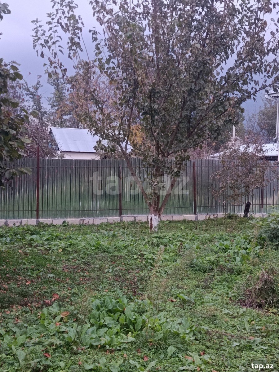 Torpaq satılır, İsmayıllı, İsmayıllı