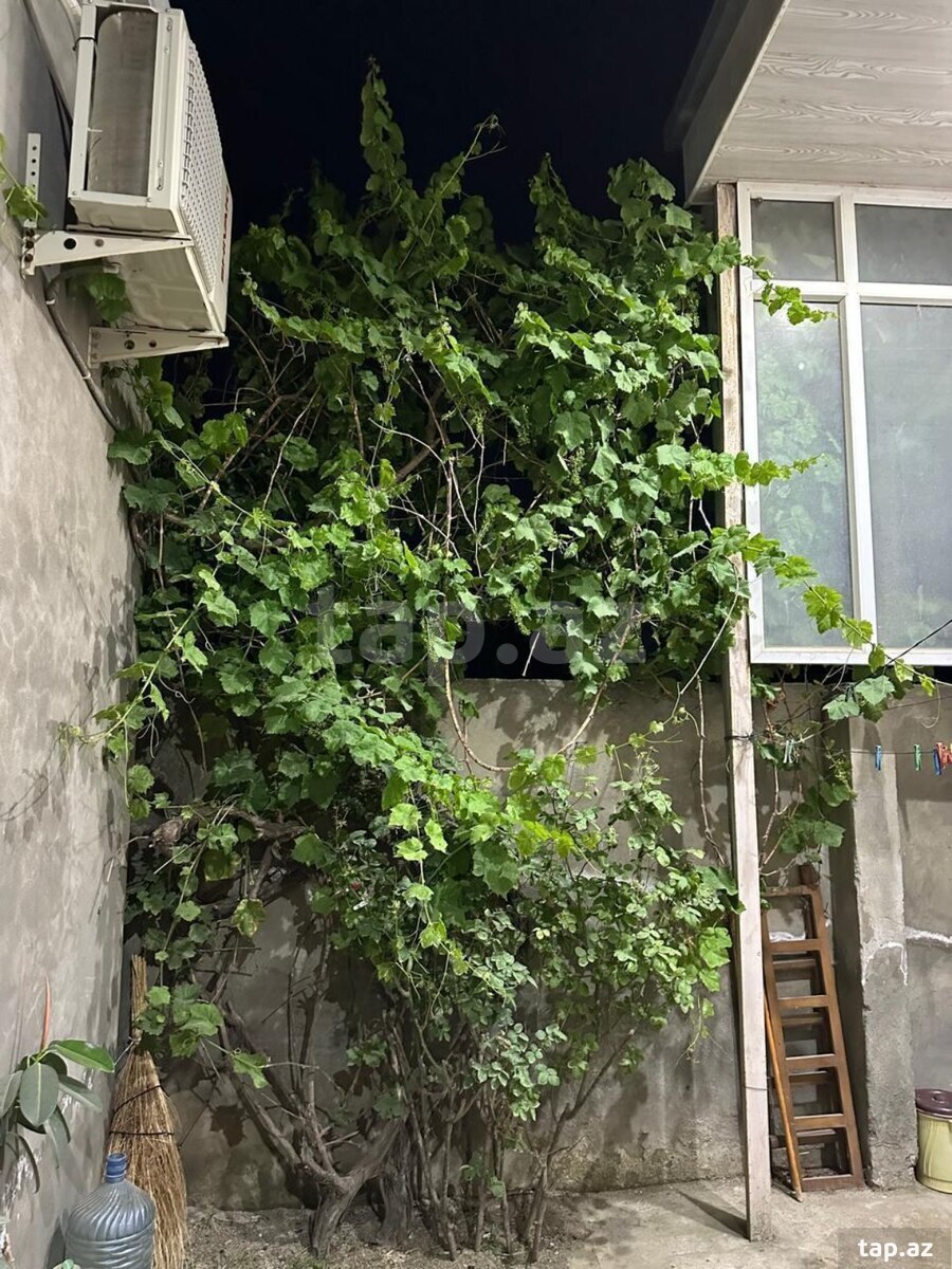 Həyət evi kirayə verilir, Digah qəs.