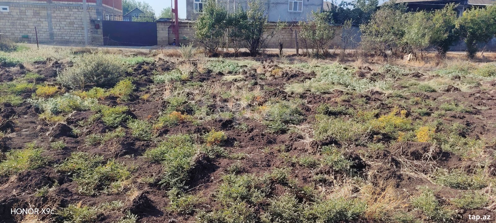6 sot torpaq sahəsi, Cəlilabad r.