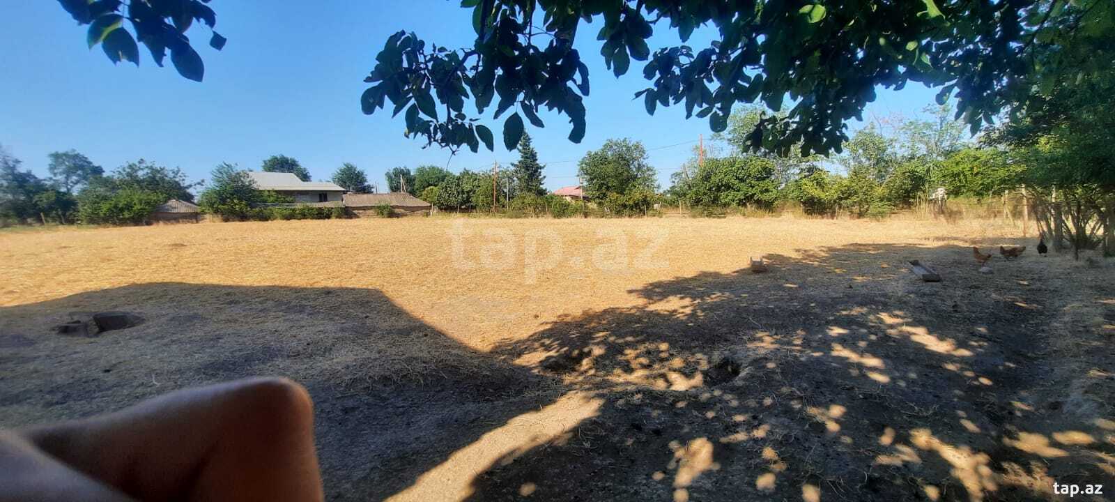 51 sot torpaq sahəsi, Cəlilabad r.