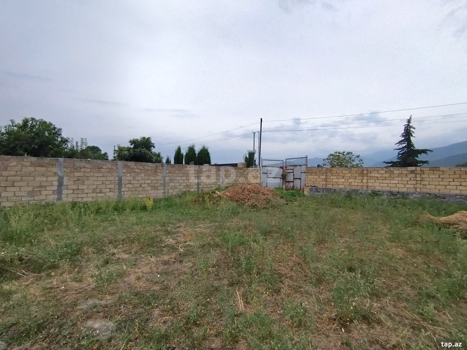Torpaq satılır, Şəki