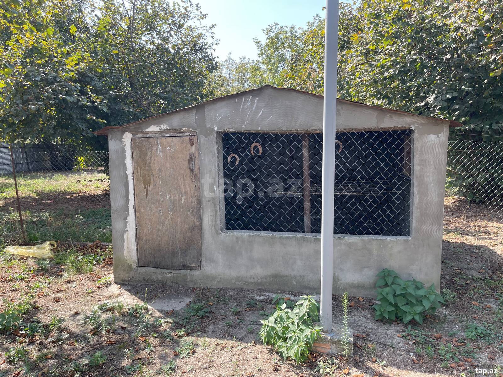 Həyət evi, Oğuz r.