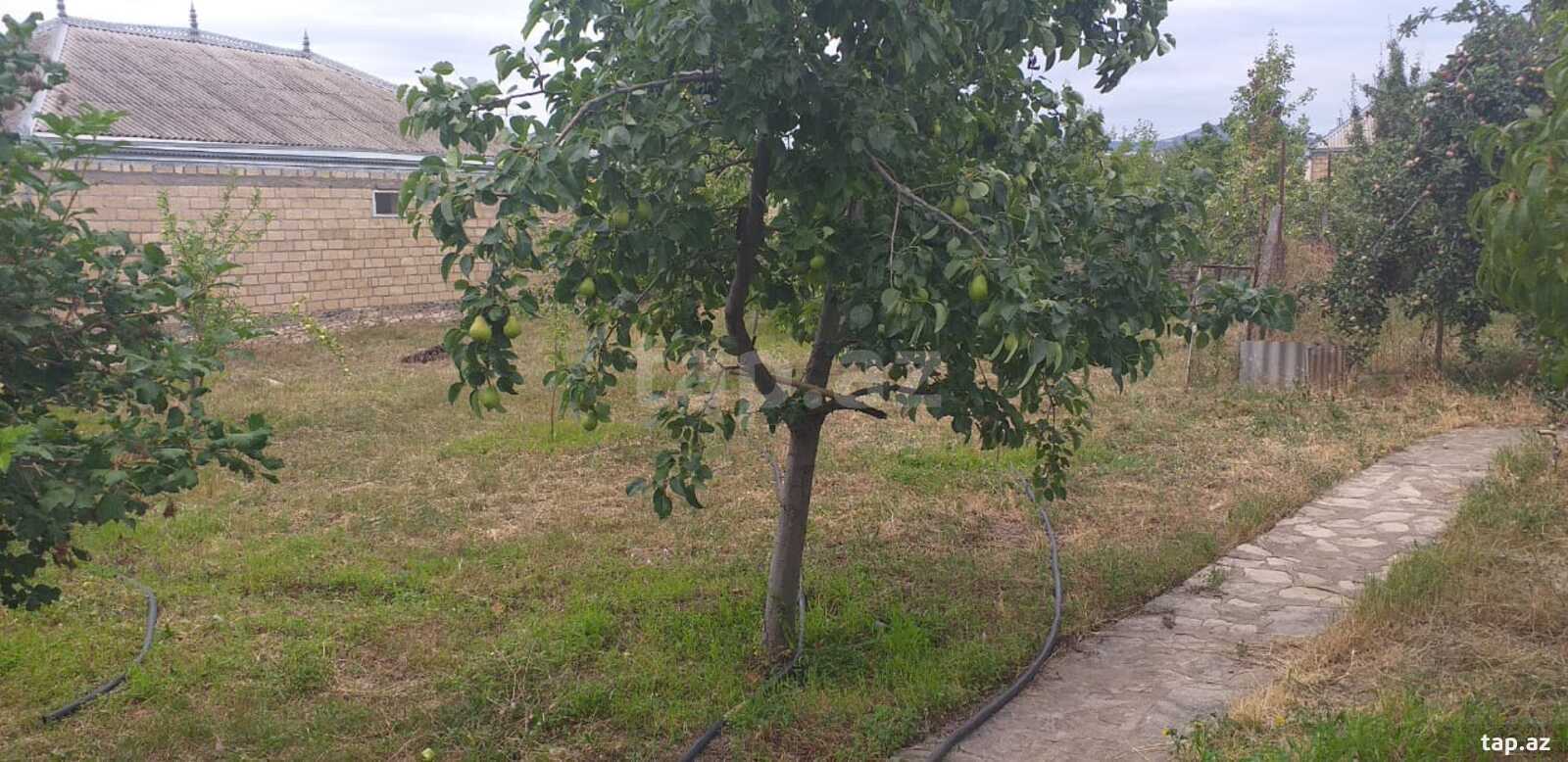 3-otaqlı yeni tikili, Tovuz r., 80 m²