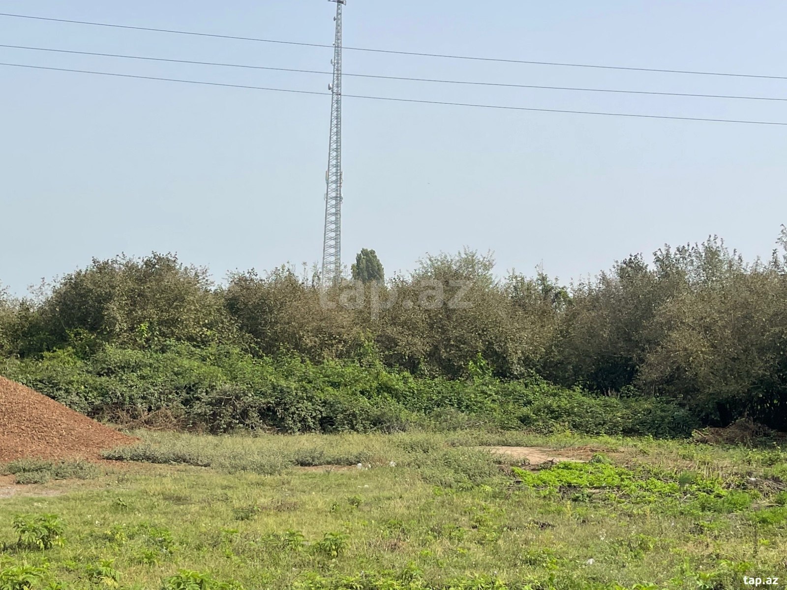 29 sot torpaq sahəsi, Zaqatala r.