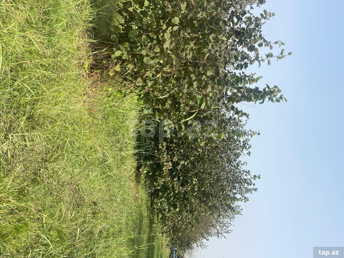 29 sot torpaq sahəsi, Zaqatala r.