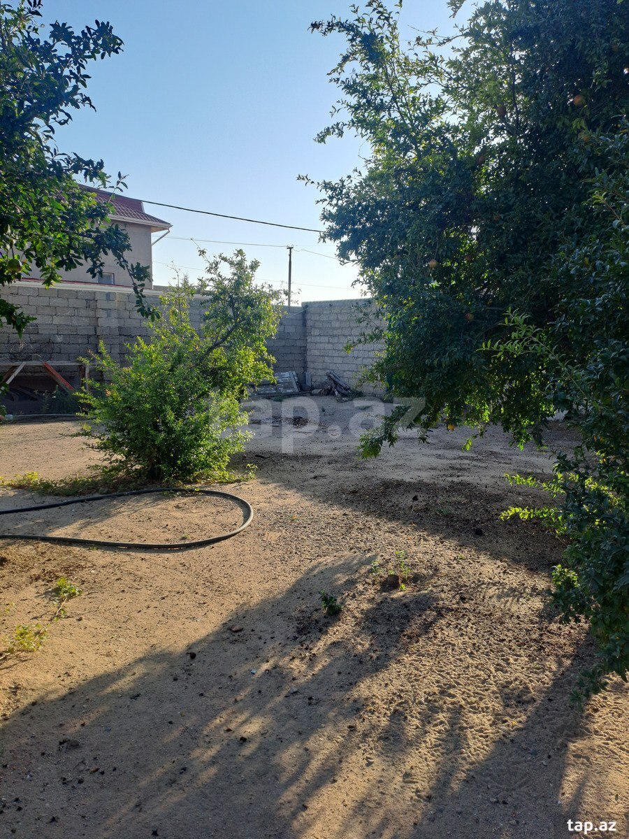 100 sot torpaq sahəsi, Zirə qəs.