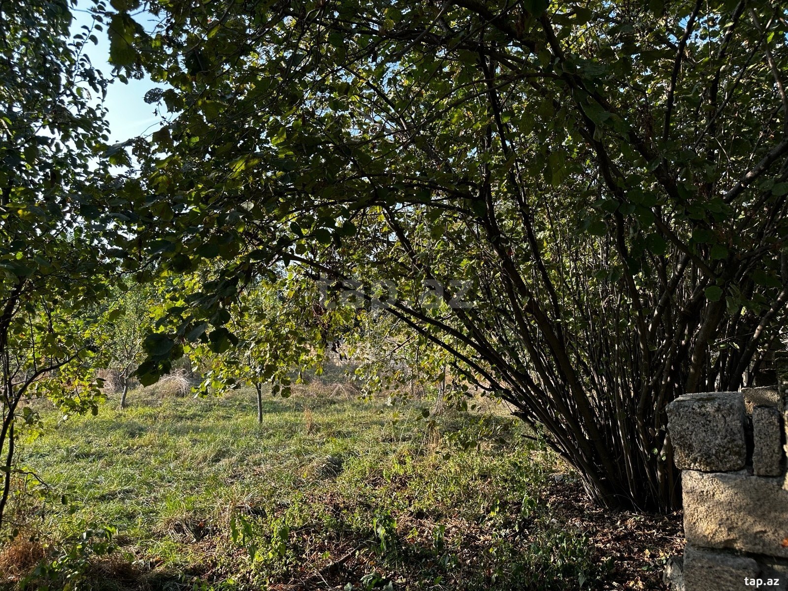 Land for sale, Gabala, Gabala