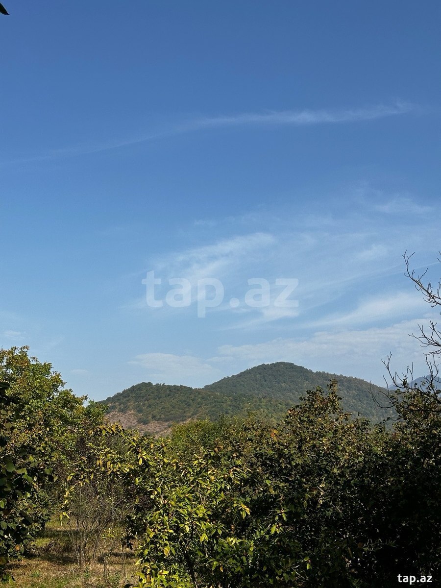 Land for sale, Gabala, Gabala