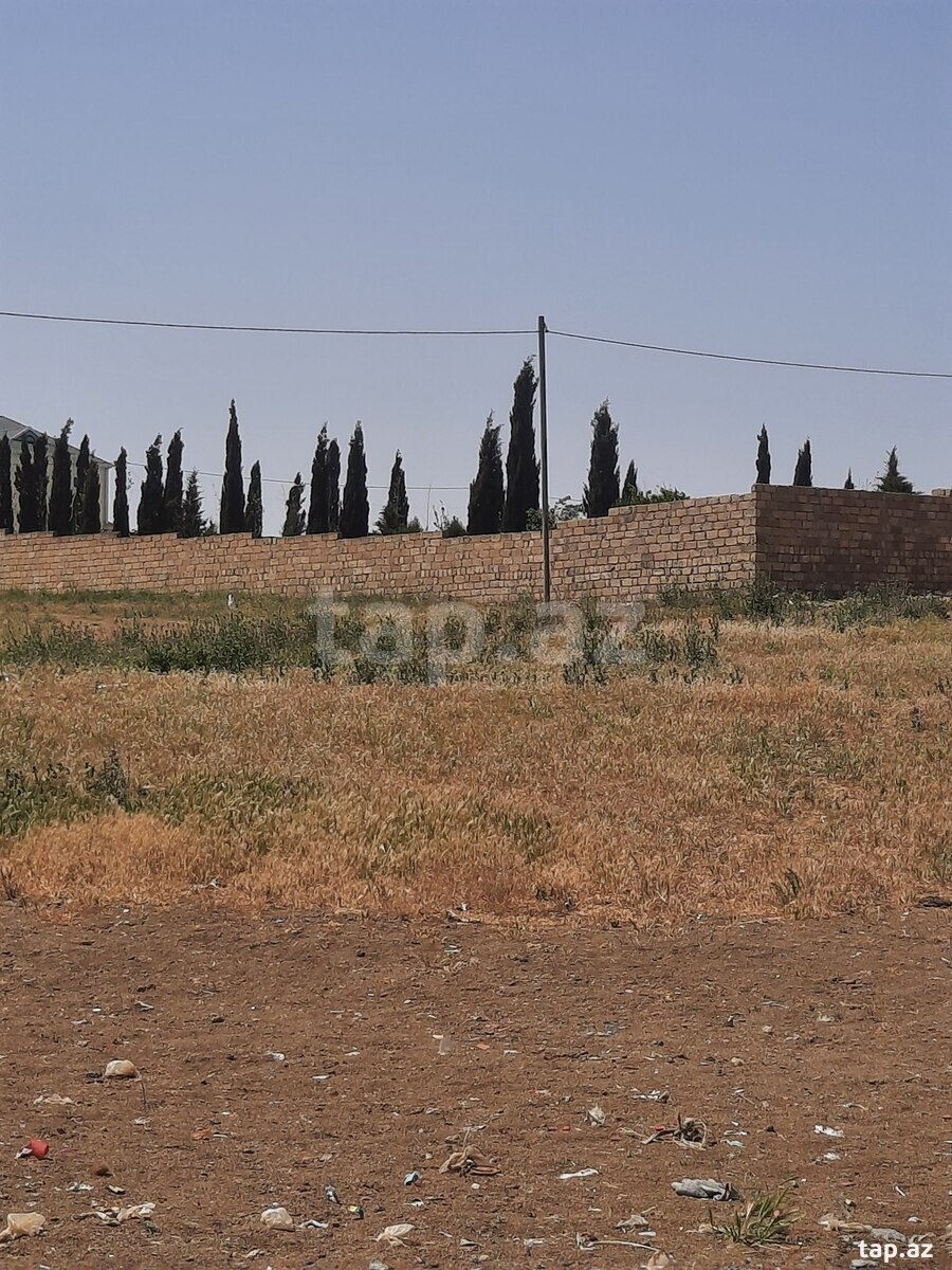 Torpaq satılır, Bakı