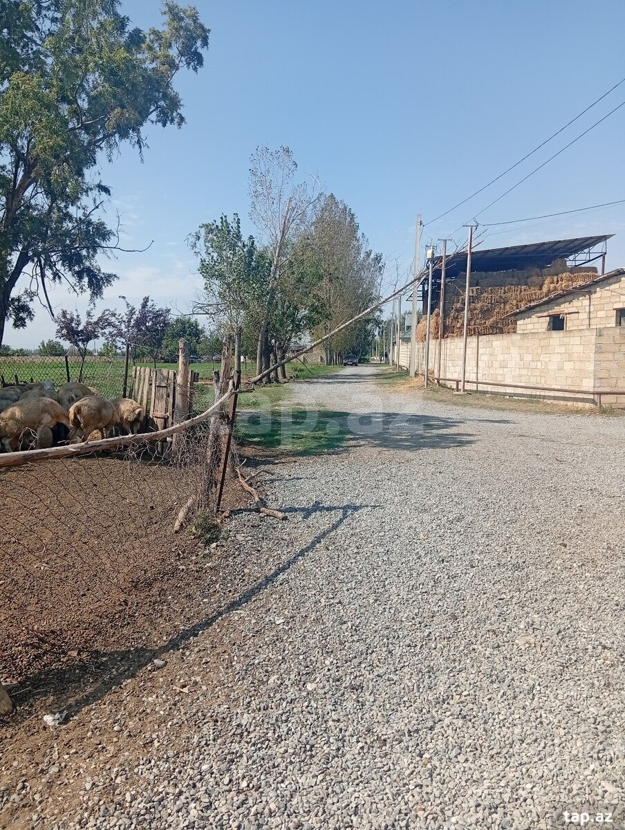 Həyət evi, Bərdə r.