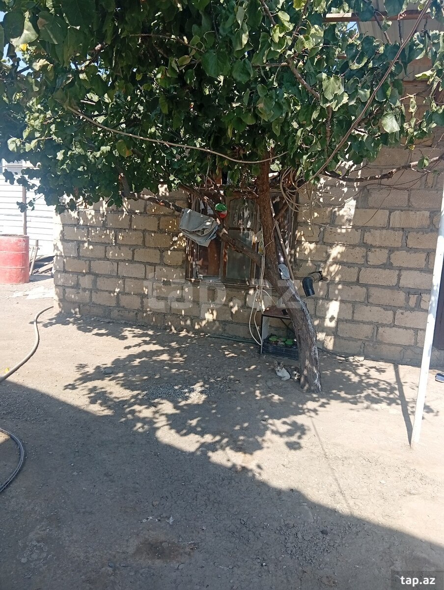 Həyət evi, Bərdə r.