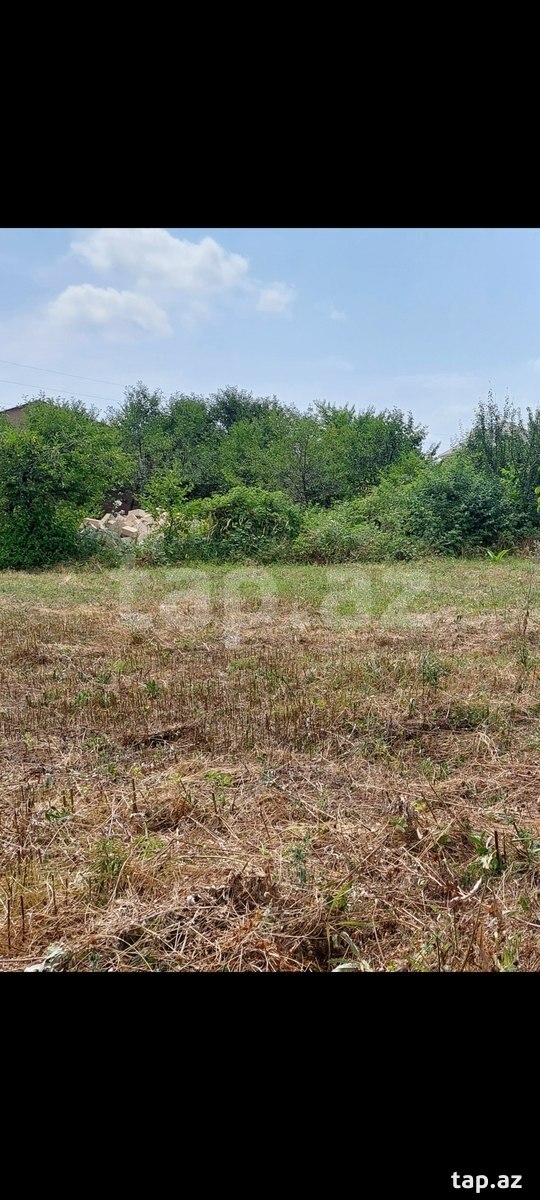6 sot torpaq sahəsi, Quba r.