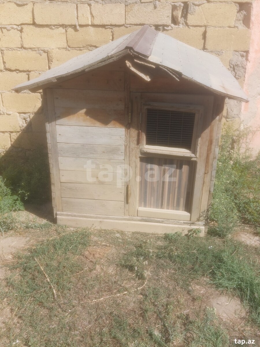 İt yuvası