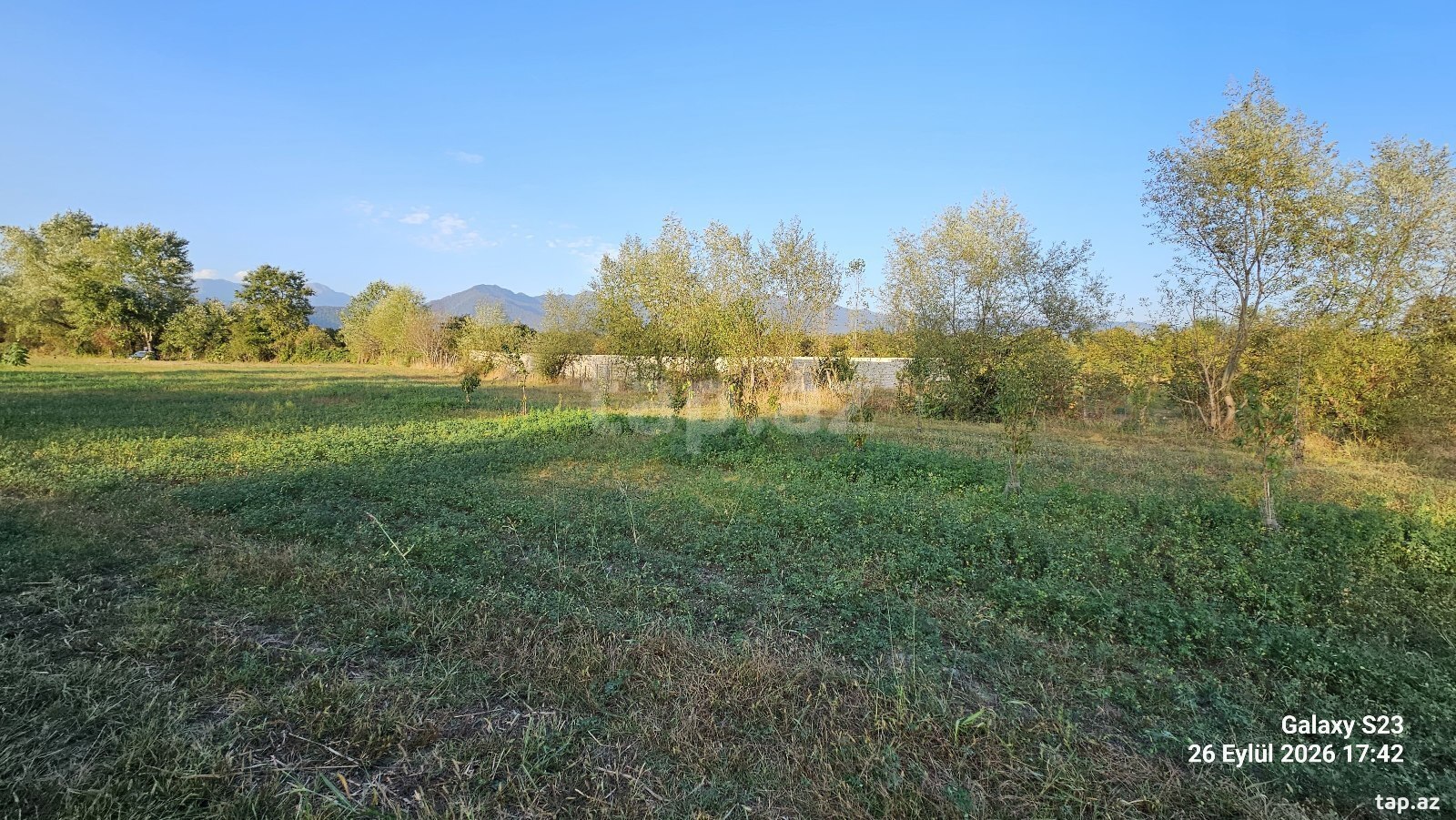 Land for sale, Gabala, Gabala
