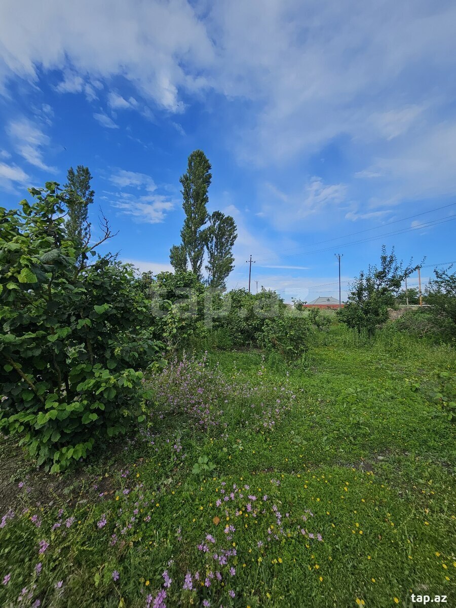 Həyət evi, Xaçmaz r.