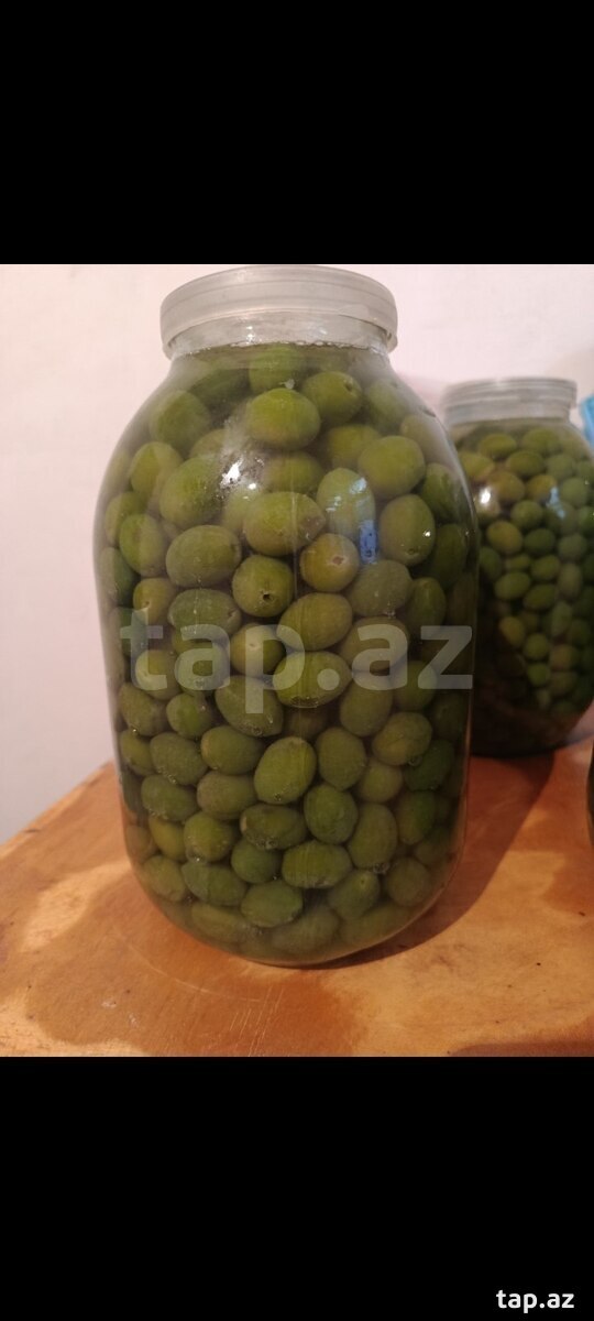 Zeytun