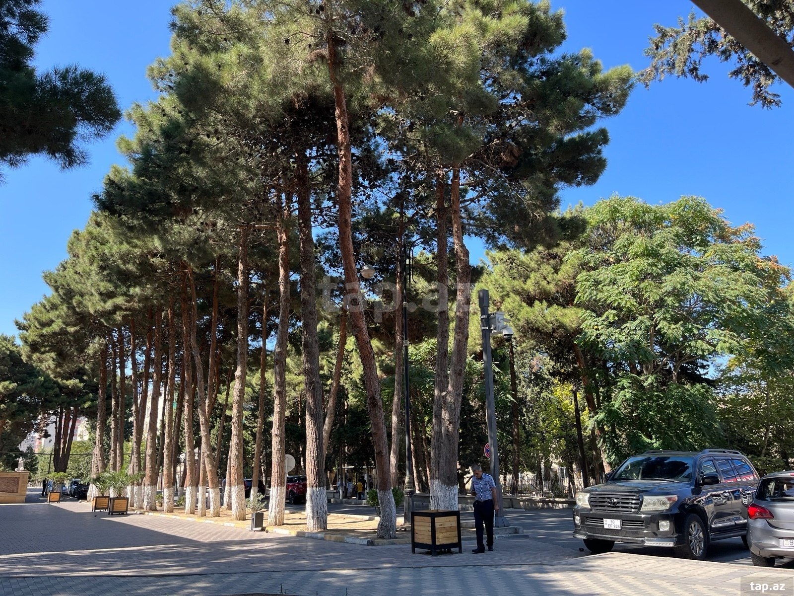 2-otaqlı yeni tikili kirayə verilir, Xırdalan ş., 55 m²