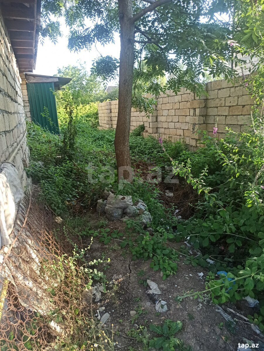 Həyət evi kirayə verilir, Lənkəran ş.