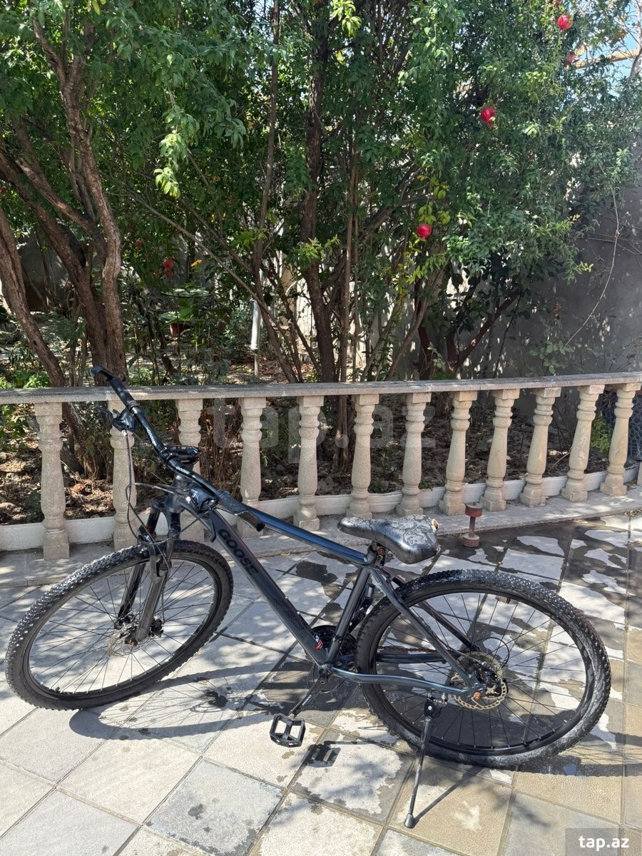 Velosiped Goose