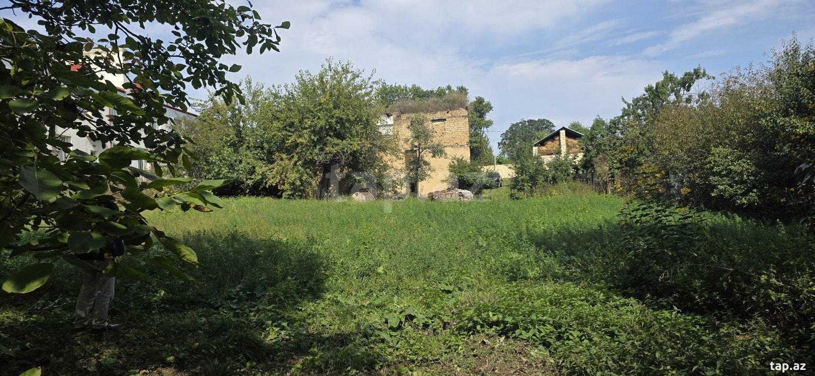 Torpaq satılır, Çartəpə, Quba